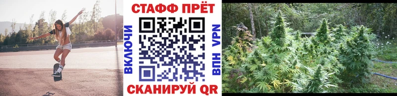  COCAIN Орск