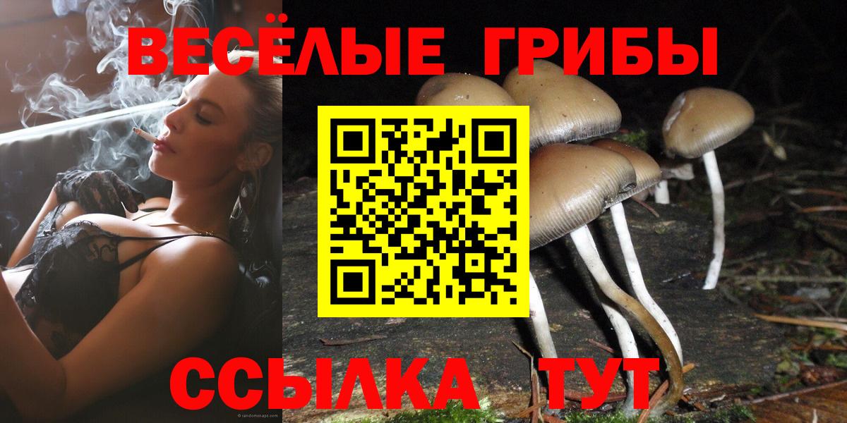 Орск  Псилоцибиновые грибы Psilocybe  Галлюциногенные грибы GOLDEN TEACHER  Вход с VPN 